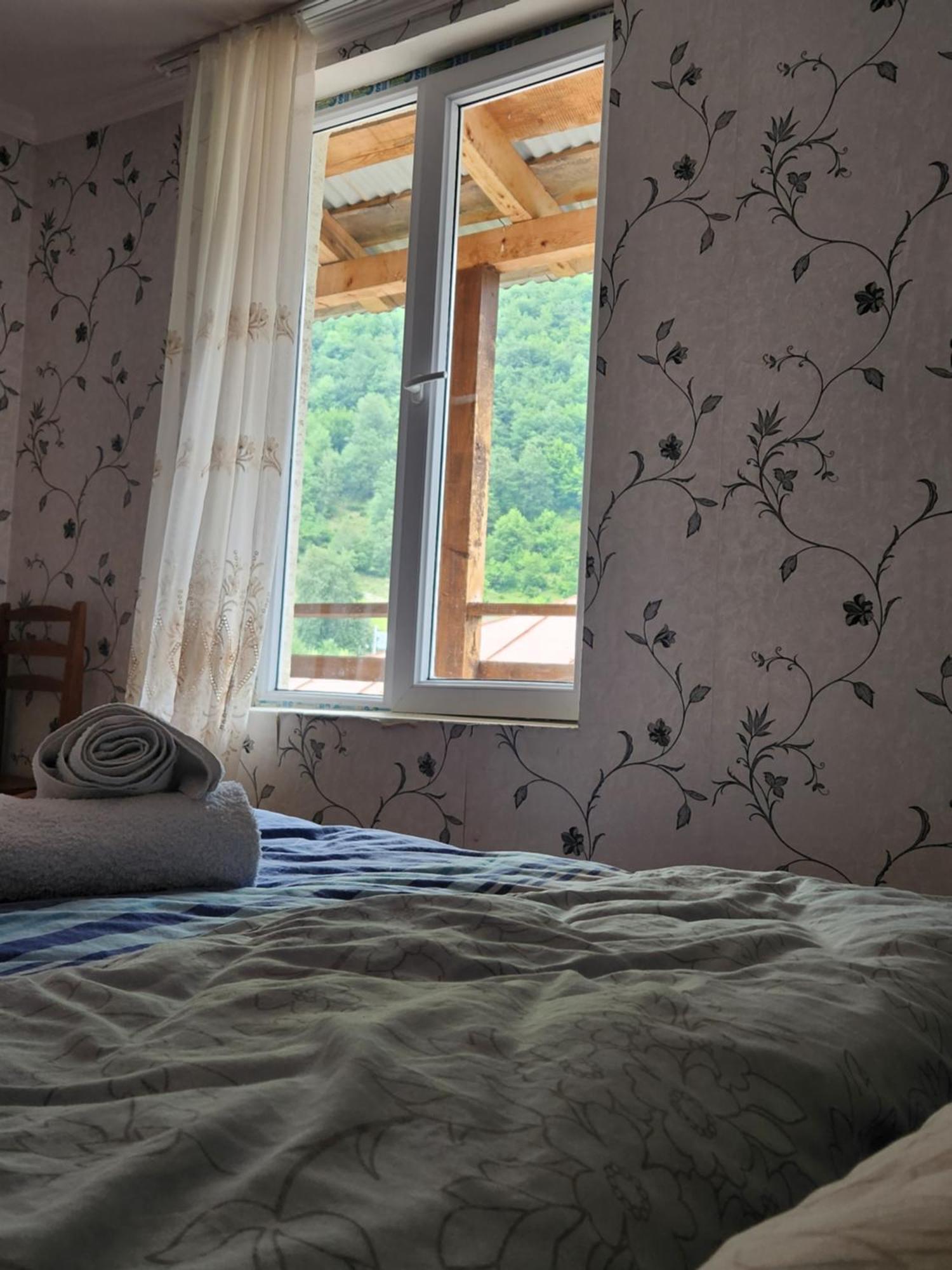 Iason Guest House In Mazeri Mestia Bilik gambar